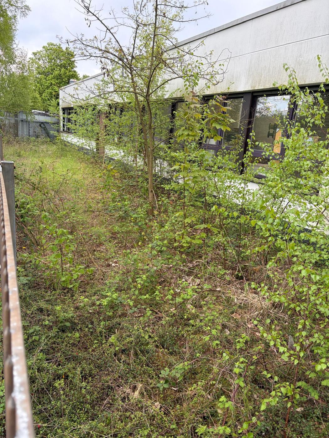 Vorher. Verwilderter Randstreifen entlang der Fassade